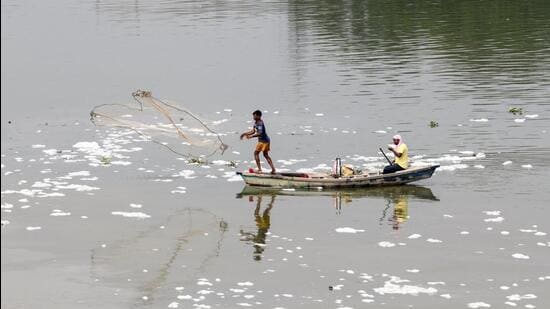 Yamuna in Delhi over the past week. (ANI)