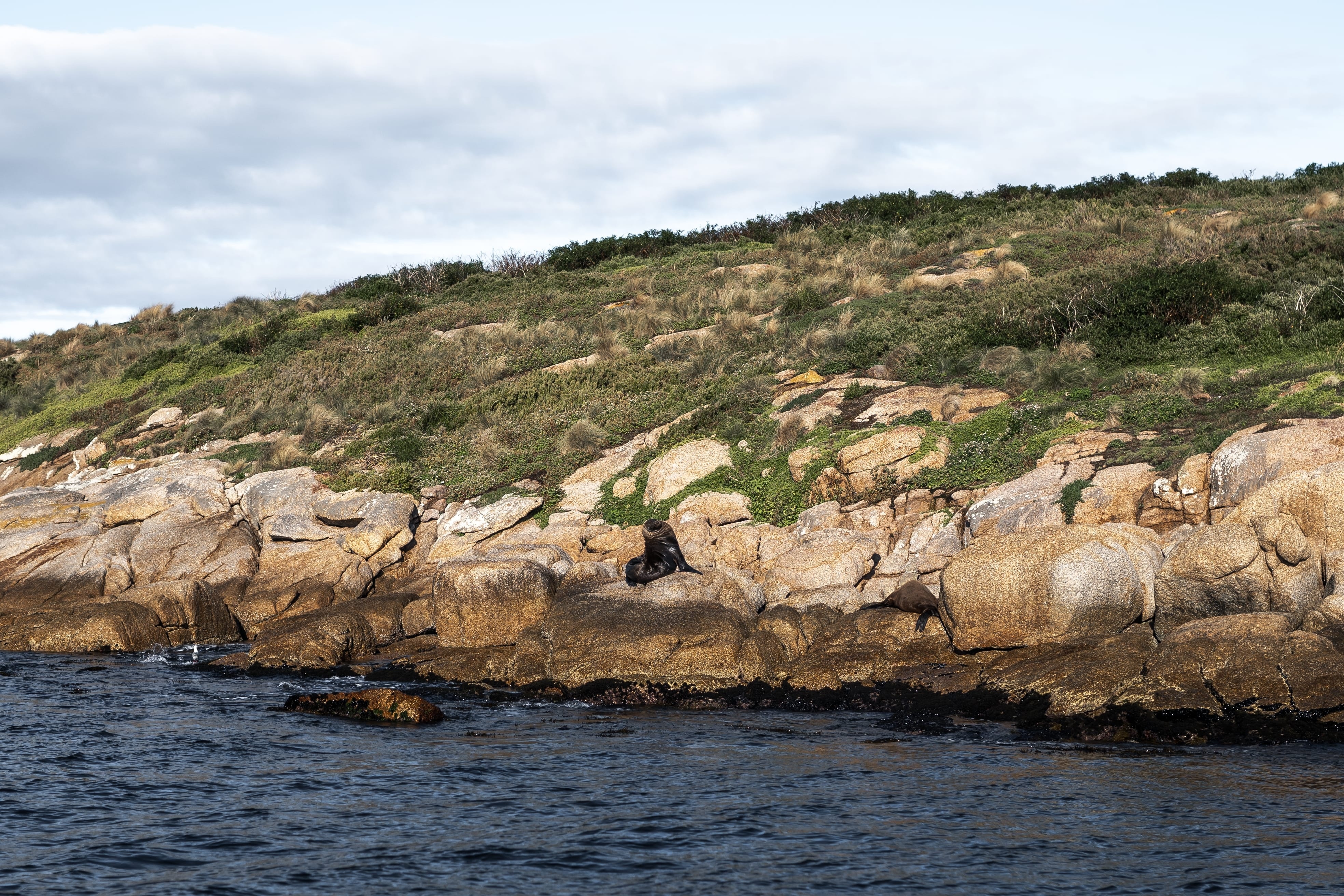 Exploring Freycinet National Park by sea offers couples a slower, more mindful way to experience Tasmania. (Tourism Australia) Exploring Freycinet National Park by sea offers couples a slower, more mindful way to experience Tasmania. (Tourism Australia)