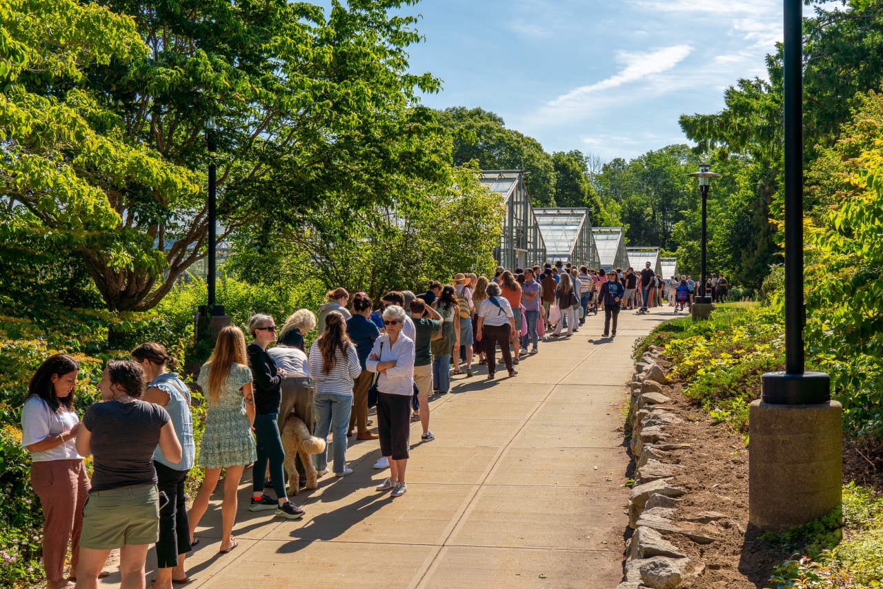 Crowds line up for the bloom at URI.