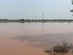 Paddy fields flooded by an overflowing Ghaggar in Patiala district’s Ghanaur’s block. (HT)