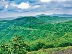 The researchers found that India’s vegetation productivity has increased over the past three decades and is projected to continue rising until 2100. The most significant future gains are expected in the Western Ghats, Western Himalayas and Northeast India, indicating these regions could play a greater role in removing carbon dioxide from the atmosphere. (HT PHOTO)