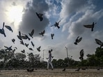 Gram it: A man was spotted feeding pigeons under an overcast sky, near Rajghat on Saturday. As Delhi recorded a maximum temperature of 35.7°C, the weather department stated that dry spell is likely to continue with the temperature expected to range between 37°C and 39°C for today. 