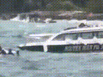 Rescue ops underway off the coast of Phu Quoc Island on Saturday, after a boat with Indian tourists capsized.