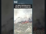 1,300 Acres In Flames: Los Angeles Wildfire Races Into Angeles National Forest | California