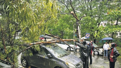 Navi Mumbai, India - July 6, 2026:During heavy rainfall , a tree fell on Two car at Sanpada in Navi Mumbai, India, on Monday, July 6, 2026. (Photo by Bachchan Kumar/ Hindustan Times) (Hindustan Times) Navi Mumbai, India - July 6, 2026:During heavy rainfall , a tree fell on Two car at Sanpada in Navi Mumbai, India, on Monday, July 6, 2026. (Photo by Bachchan Kumar/ Hindustan Times) (Hindustan Times)