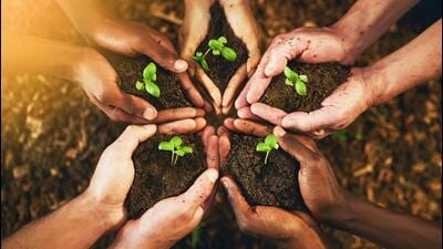 The Chandigarh administration’s Comprehensive Plantation Plan 2026–27 places clear emphasis on quality over quantity, prioritising tall, healthy saplings and scientific planning over mass plantation numbers. (Getty Images) The Chandigarh administration’s Comprehensive Plantation Plan 2026–27 places clear emphasis on quality over quantity, prioritising tall, healthy saplings and scientific planning over mass plantation numbers. (Getty Images)