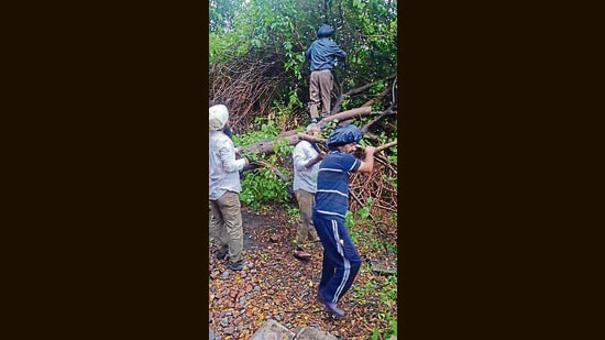 Fallen trees damaged transformers in several localities in the city on Saturday. (HT PHOTO)