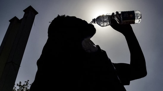 A new study reveals the list of top cities most at heat-risk as temperatures warm around the globe (Representational/AFP)