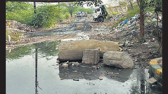 Locals alleged a vacant plot in neighbouring Sector 42 has turned into an “unofficial dumping ground” (HT)