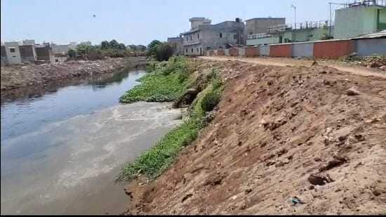 The PPCB said the Ghaggar basin continues to face a significant pollution burden. (HT)