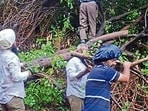 Fallen trees damaged transformers in several localities in the city on Saturday. (HT PHOTO)