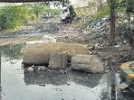 Locals alleged a vacant plot in neighbouring Sector 42 has turned into an “unofficial dumping ground” (HT)
