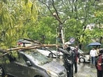 Navi Mumbai, India - July 6, 2026:During heavy rainfall , a tree fell on Two car at Sanpada in Navi Mumbai, India, on Monday, July 6, 2026. (Photo by Bachchan Kumar/ Hindustan Times) (Hindustan Times)