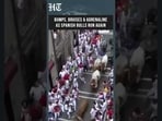Spain's Famous Bull Run Turns Chaotic Multiple Runners Injured In San Fermín Festival Dash