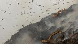 Flaws in Delhi landfill ops take centre stage, MCD plans to ramp up facilities