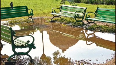After the rain, such pools scatter across the grassy lawns. (Mayank Austen Soofi) After the rain, such pools scatter across the grassy lawns. (Mayank Austen Soofi)