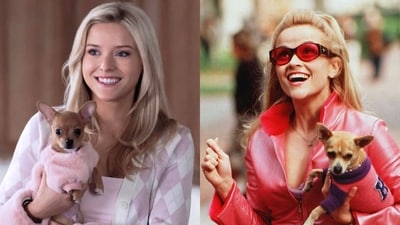Lexi Minetree on stepping into Reese Witherspoon's iconic pink heels for Elle. Lexi Minetree on stepping into Reese Witherspoon's iconic pink heels for Elle.