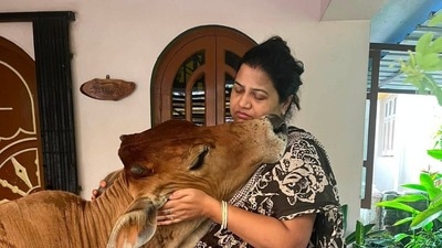 সন্তানহারা হলো সুন্দরী