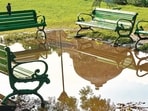 After the rain, such pools scatter across the grassy lawns. (Mayank Austen Soofi)