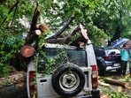 By July 7th, 830 trees had fallen (compared with 855 in all of 2025) along with 1,238 branches.