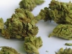 In another case, a passenger arriving from Phuket on Monday was intercepted on the basis of APIS profiling. When no contraband was found in the passenger's baggage, Customs officers searched the aircraft and found six sealed packets containing suspected hydroponic weed weighing 1.5 kg beneath the seats in Row 12.(Representational Photo/ Pixabay)