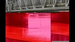 Yamuna level falls in Delhi after three-day rise, says CWC