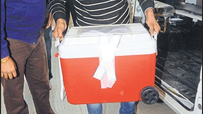 Bir Daund kadınının organ bağışı dört hastaya yeni bir hayat verdi