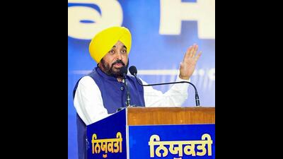 The Punjab government on Monday regularised the services of 516 daily wage workers from the state forest department. During an official event, chief minister Bhagwant Mann handed over regular appointment letters to the beneficiaries, while also announcing the restoration of long-pending promotions for 237 forest department officers and employees.