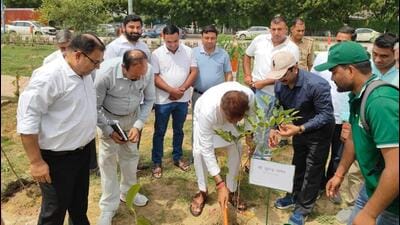 The drive is being executed in collaboration with the Give Me Trees Trust, with residents’ welfare associations and social organisations participating at multiple locations across the city. (HT Photos) The drive is being executed in collaboration with the Give Me Trees Trust, with residents’ welfare associations and social organisations participating at multiple locations across the city. (HT Photos)