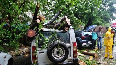 By July 7th, 830 trees had fallen (compared with 855 in all of 2025) along with 1,238 branches. (Praful Gangurde/Hindustan Times)