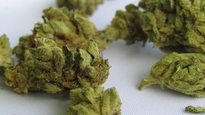 In another case, a passenger who arrived from Phuket on Monday was intercepted on the basis of APIS files. When no prohibited items were found in the passenger's luggage, customs officers searched the plane and found six sealed packages containing suspected aquatic weed weighing 1.5 kg under the seats in row 12. (Representational image / Pixabay) In another case, a passenger who arrived from Phuket on Monday was intercepted on the basis of APIS files. When no prohibited items were found in the passenger's luggage, customs officers searched the plane and found six sealed packages containing suspected aquatic weed weighing 1.5 kg under the seats in row 12. (Representational image / Pixabay)