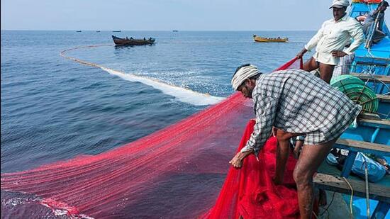 The bodies have decomposed beyond recognition. (Representative Photo/iStock)