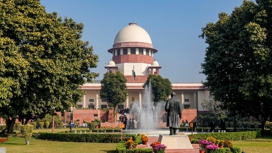The top court made the observation while hearing a suo motu case concerning the right to privacy of adolescents.