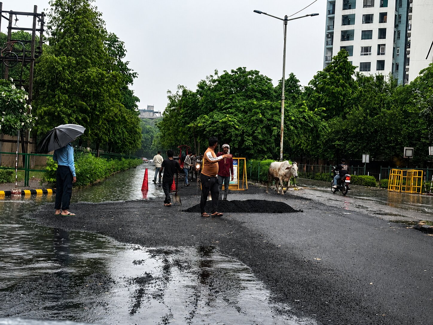 Fresh bitumen was laid during rainfall in Sector 50 near Nirvana Country on July 17, which witnessed the season’s first heavy rain. (HT) Fresh bitumen was laid during rainfall in Sector 50 near Nirvana Country on July 17, which witnessed the season’s first heavy rain. (HT)