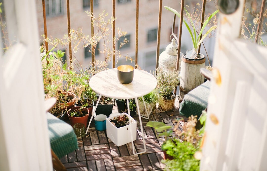 Well-placed plants can help soften heat build-up, create a more pleasant microclimate and make the space feel cooler and more inviting. (Unsplash) Well-placed plants can help soften heat build-up, create a more pleasant microclimate and make the space feel cooler and more inviting. (Unsplash)