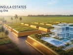 Why plotted developments are drawing investor attention as Alibaug evolves