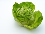 Finding the source of Cyclospora outbreaks can be more complicated than tracking other foodborne illnesses.