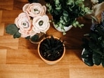 I love sprucing up my space with artificial plants to add some much-needed greenery; here are 8 favourites I'd recommend