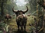 Can you solve this forest optical illusion and locate the hunter hiding in plain sight?