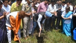 Over 300 water bodies in Capital either encroached upon or dried up, NGT told