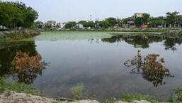 Over half of Noida’s water bodies beyond recovery: NGT told Over half of Noida’s water bodies beyond recovery: NGT told
