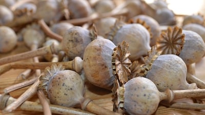 On scrutiny, the team found 49 packets of opium weighing a total of 49.5 kg concealed in compartments of the floor of the vehicle. (Representational Photo/ Pixabay)