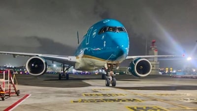 An aircraft carrying the mortal remains of Indian nationals who lost their lives in the boat accident near Phu Quoc, Vietnam, arrives at Chhatrapati Shivaji Maharaj International Airport, in Mumbai. (PTI) An aircraft carrying the mortal remains of Indian nationals who lost their lives in the boat accident near Phu Quoc, Vietnam, arrives at Chhatrapati Shivaji Maharaj International Airport, in Mumbai. (PTI)