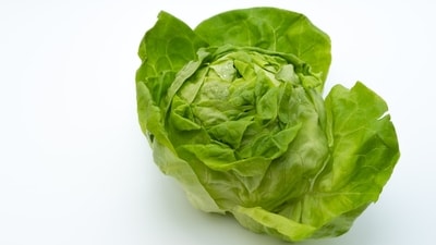 Finding the source of Cyclospora outbreaks can be more complicated than tracking other foodborne illnesses. (Unsplash/ Representational)