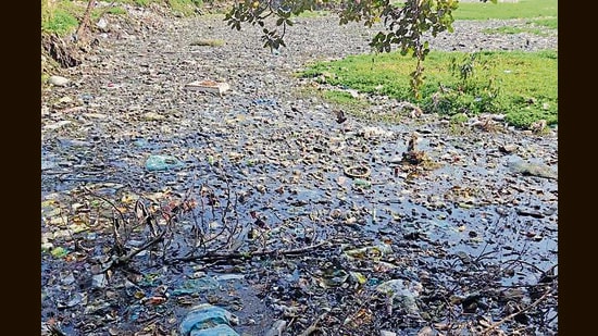 Laboratory analysis conducted on March 13, 2026, revealed that all five ponds failed to meet the standards prescribed under the state action plan for the rejuvenation of village ponds.