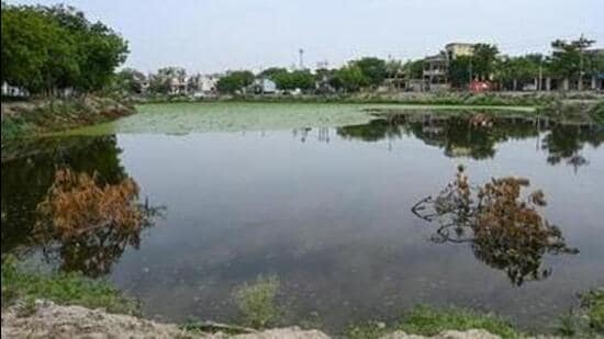 Over half of Noida’s water bodies beyond recovery: NGT told
