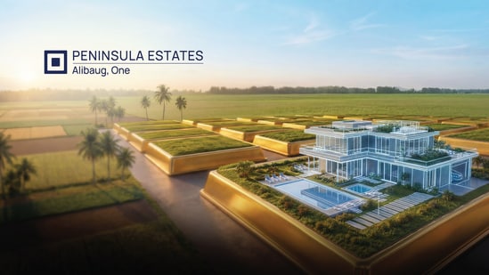 Why plotted developments are drawing investor attention as Alibaug evolves