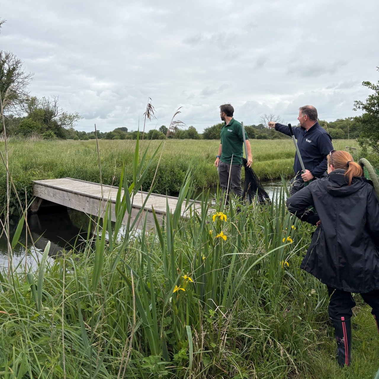 Zookeepers looking for the capybara also have to watch out for ditches and brambles. Zookeepers looking for the capybara also have to watch out for ditches and brambles.