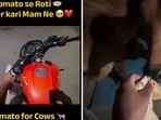 A delivery rider feeding rotis to cows. 