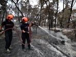 French firefighters work to extinguish a wildfire in the Fontainebleau forest near Noisy-sur-Ecole as wildfires reignite in the forest during a heatwave affecting a large part of the country, France, July 15, 2026. REUTERS/Stephane Mahe
